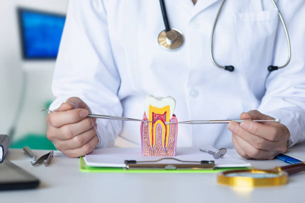 Best Emergency Cosmetic Dentistry (e.g., broken veneers) in Pine Manor, FL